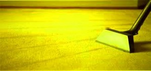 clean the floor
